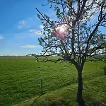 Seeschwalbe * Tossens