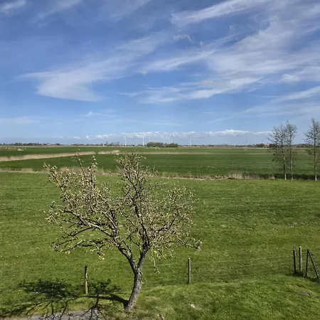 Seeschwalbe *