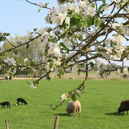 Apartamento Seeschwalbe Tossens